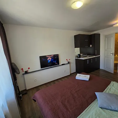 Z17 River Apartment *